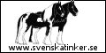 stsbanner_120x60_ani.gif
